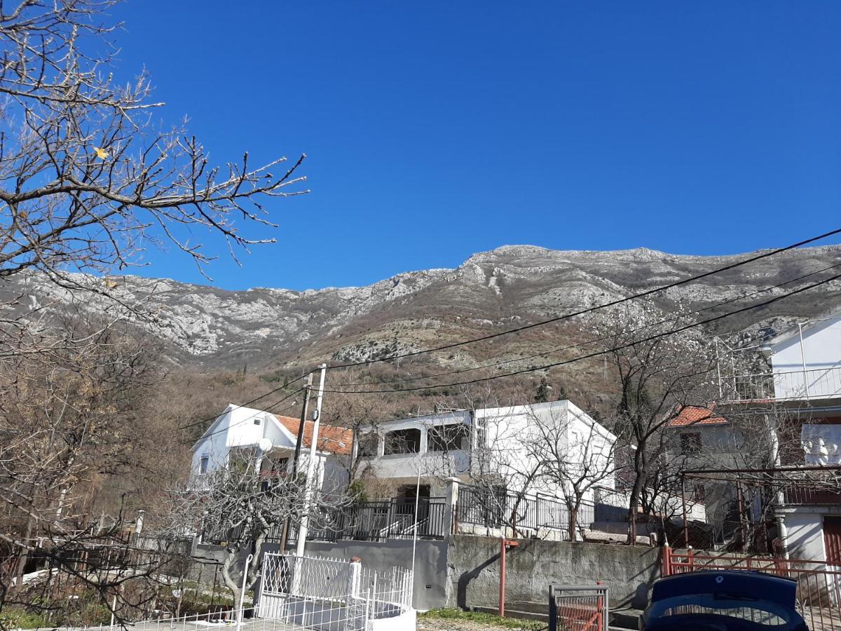 Forest House Сутоморе Экстерьер фото